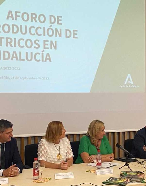 Aforo de cítricos_Agricultura Andalucía