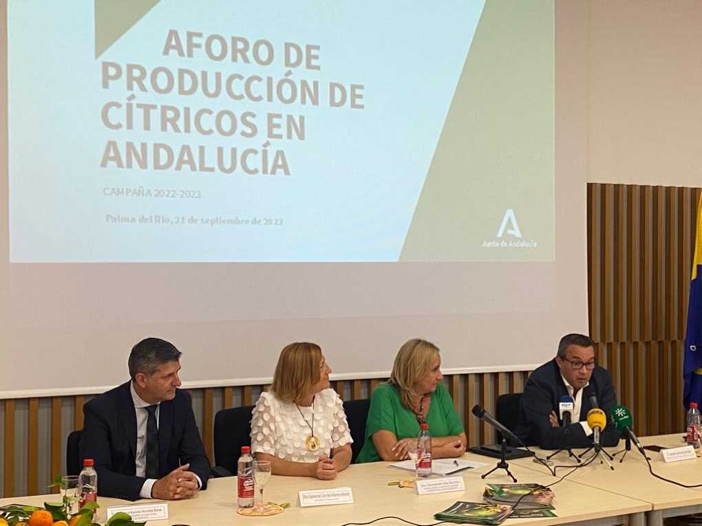 Aforo de cítricos_Agricultura Andalucía
