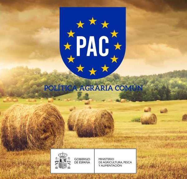 Curso PAC Ministerio de Agricultura