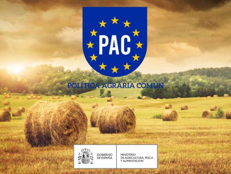 Curso PAC Ministerio de Agricultura