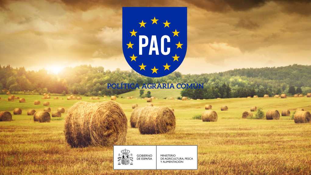 Curso PAC Ministerio de Agricultura