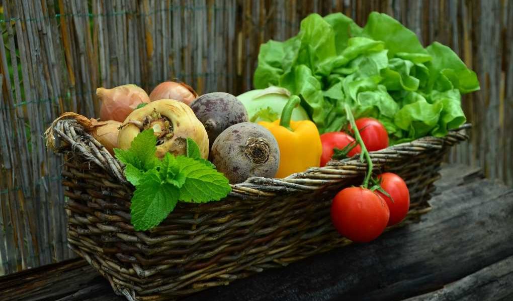 Dia_Internacional_Ecologico