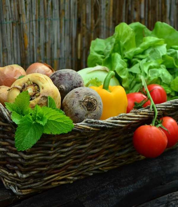 Dia_Internacional_Ecologico