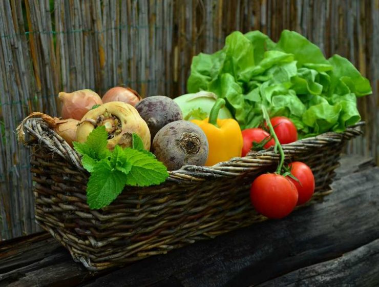 Dia_Internacional_Ecologico