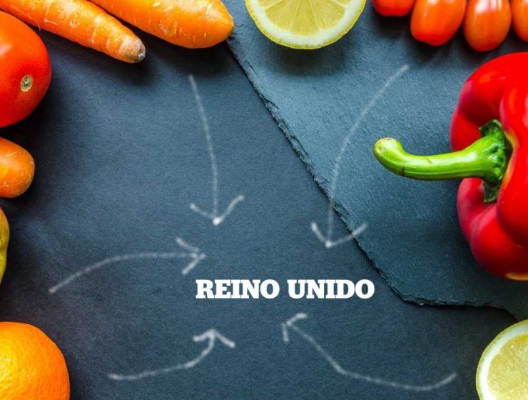 EXPORT REINO UNIDO
