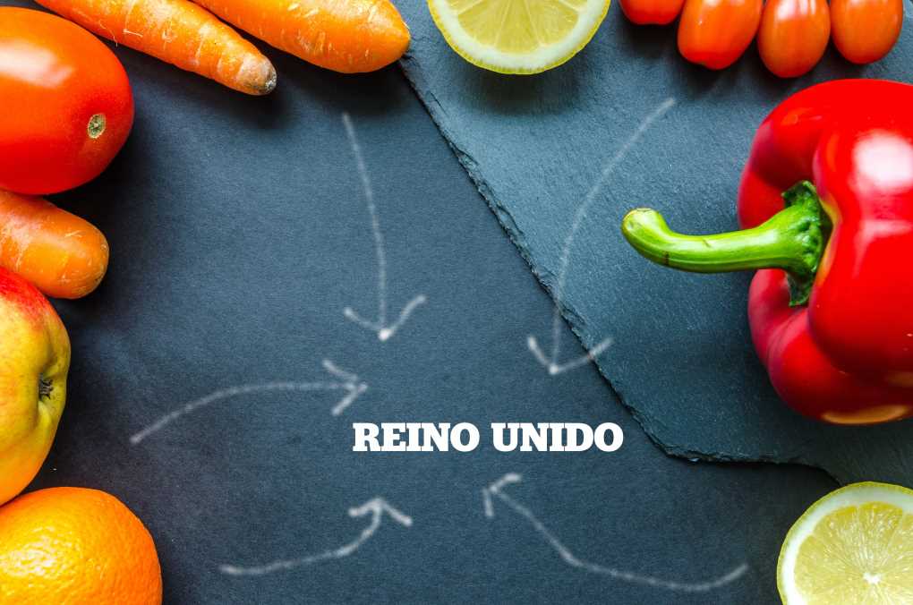 EXPORT REINO UNIDO