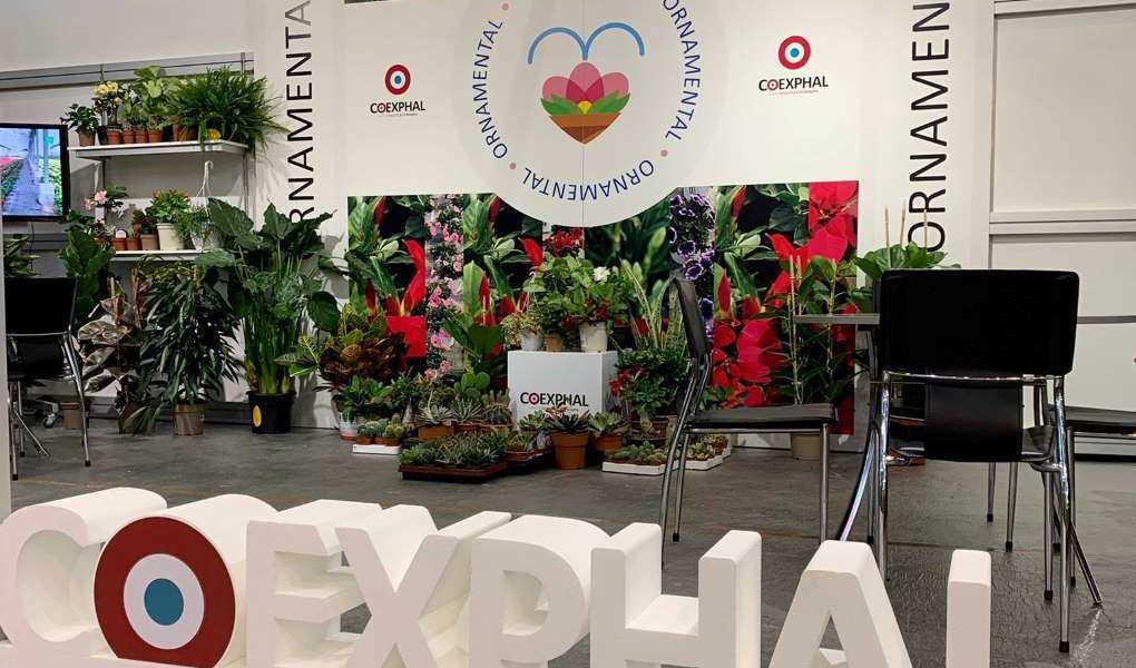 Iberflora_Coexphal