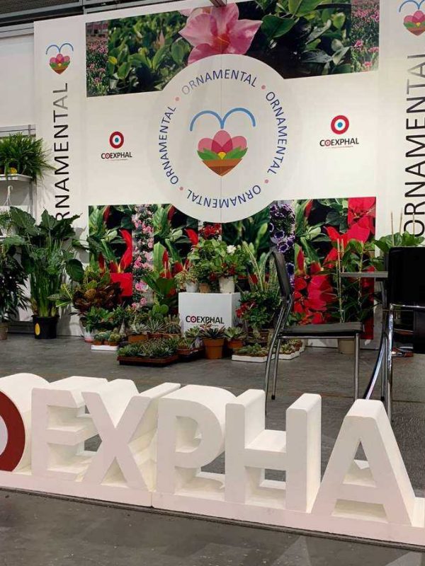 Iberflora_Coexphal