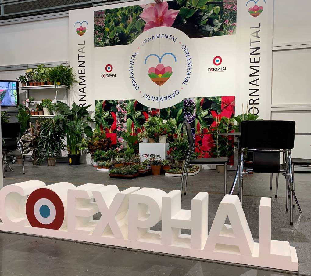 Iberflora_Coexphal