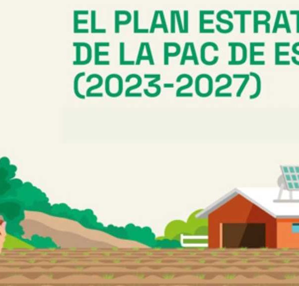 PAC difusión