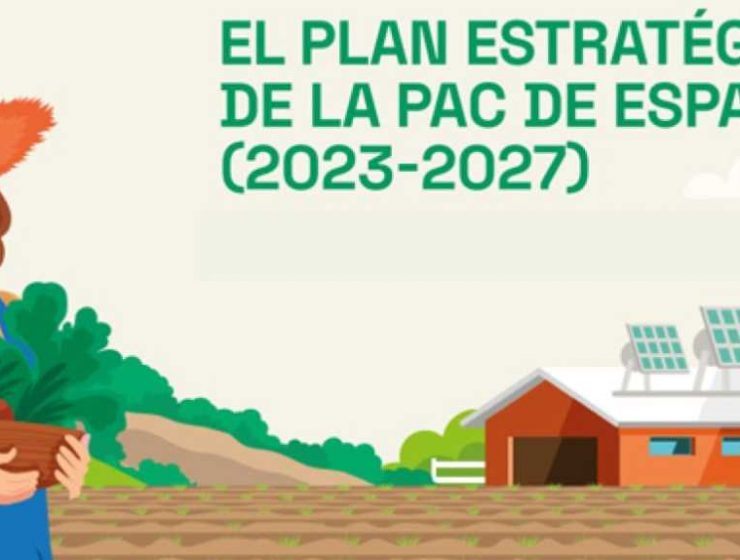 PAC difusión