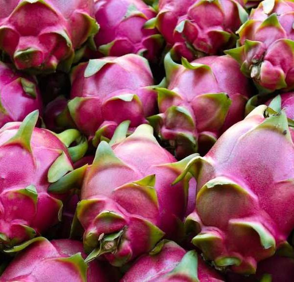 Pitaya