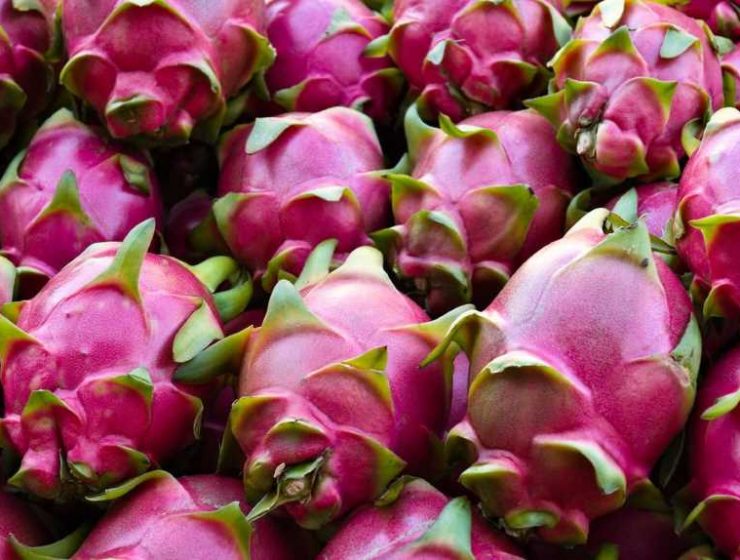 Pitaya