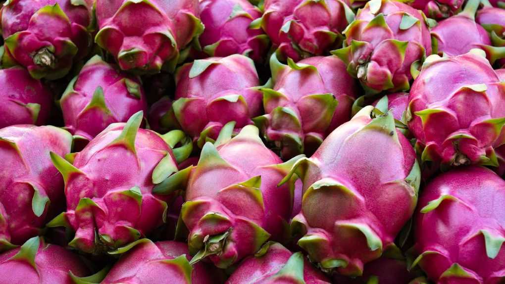 Pitaya