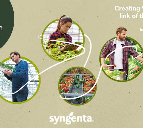 Syngenta Fruit Attraction