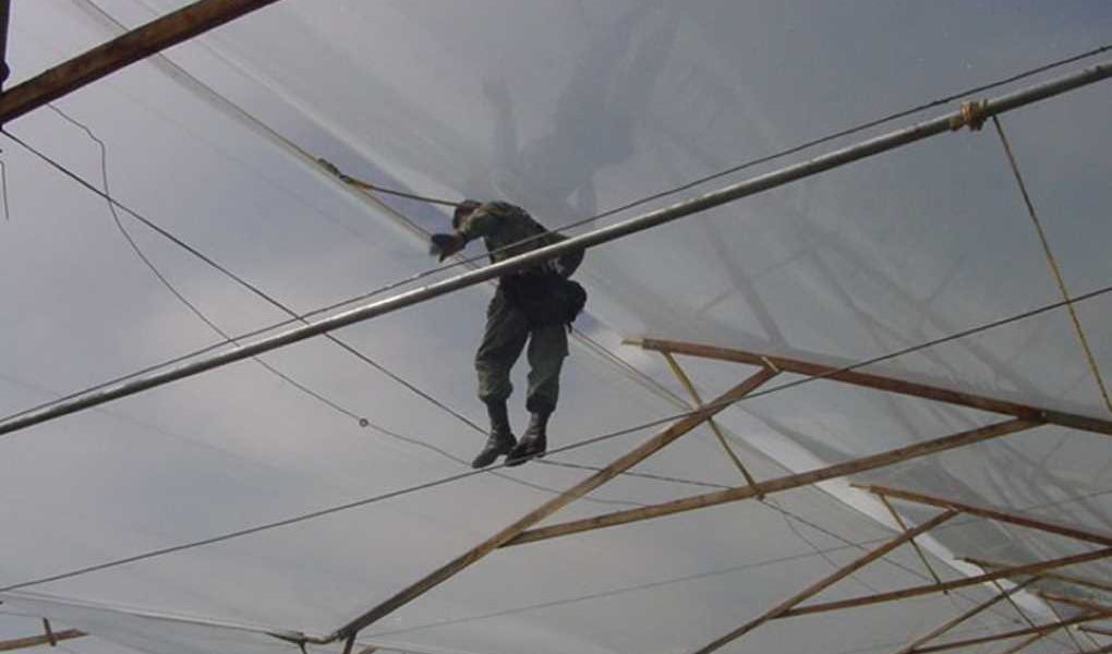 Trabajo en altura_invernadero