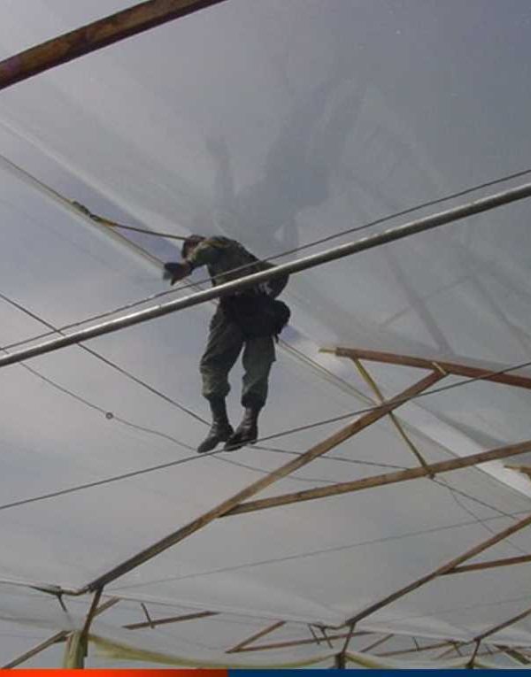 Trabajo en altura_invernadero