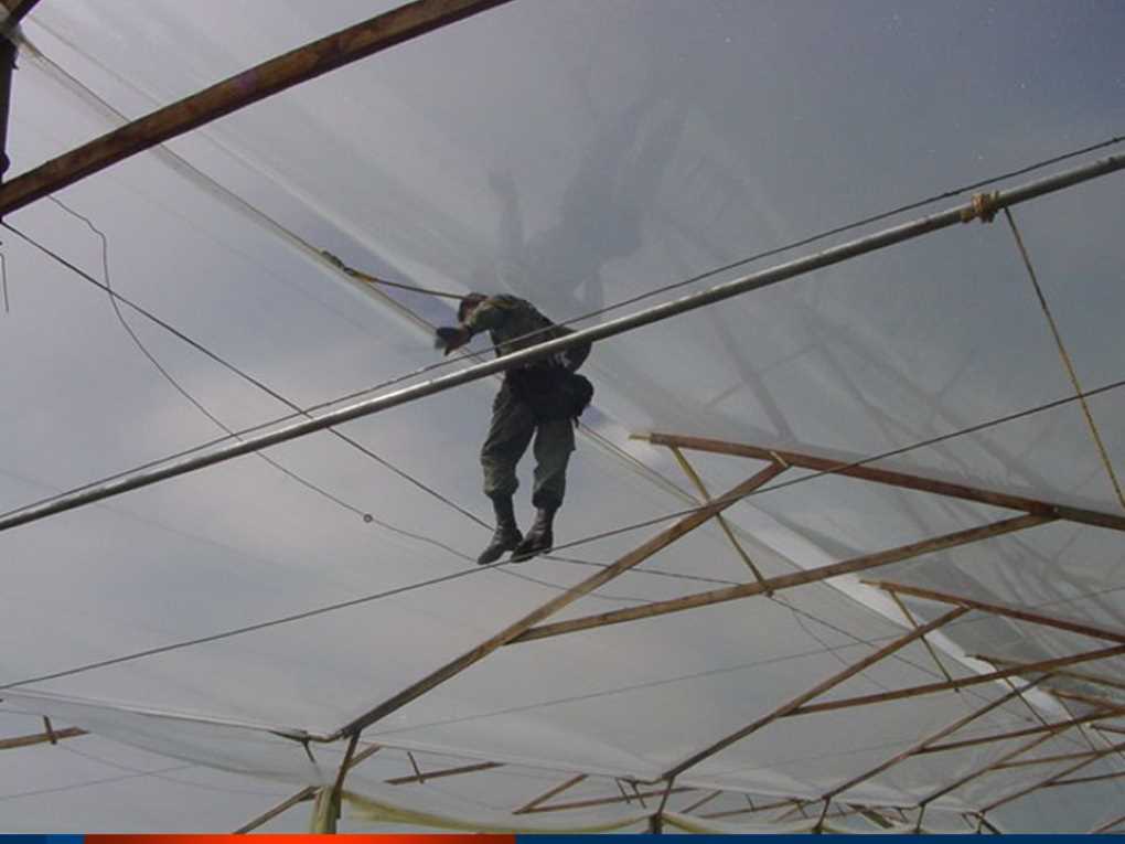 Trabajo en altura_invernadero