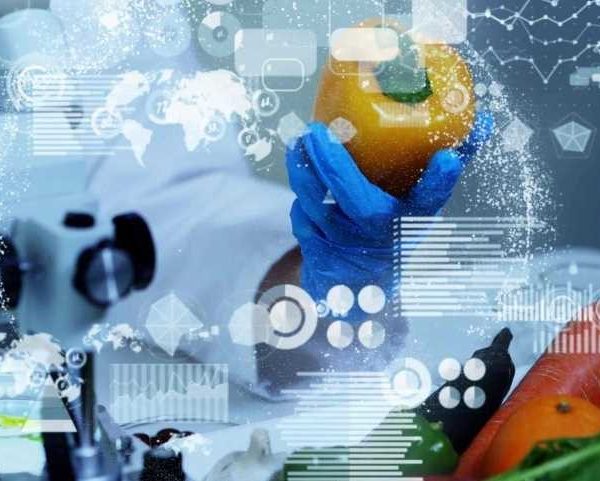 alimentación innovación