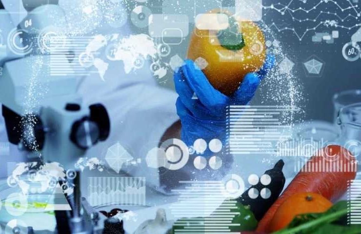 alimentación innovación