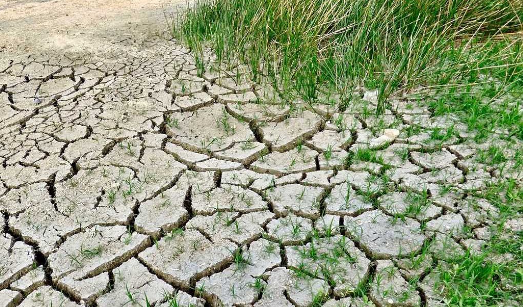 gestion-sostenible-del-suelo