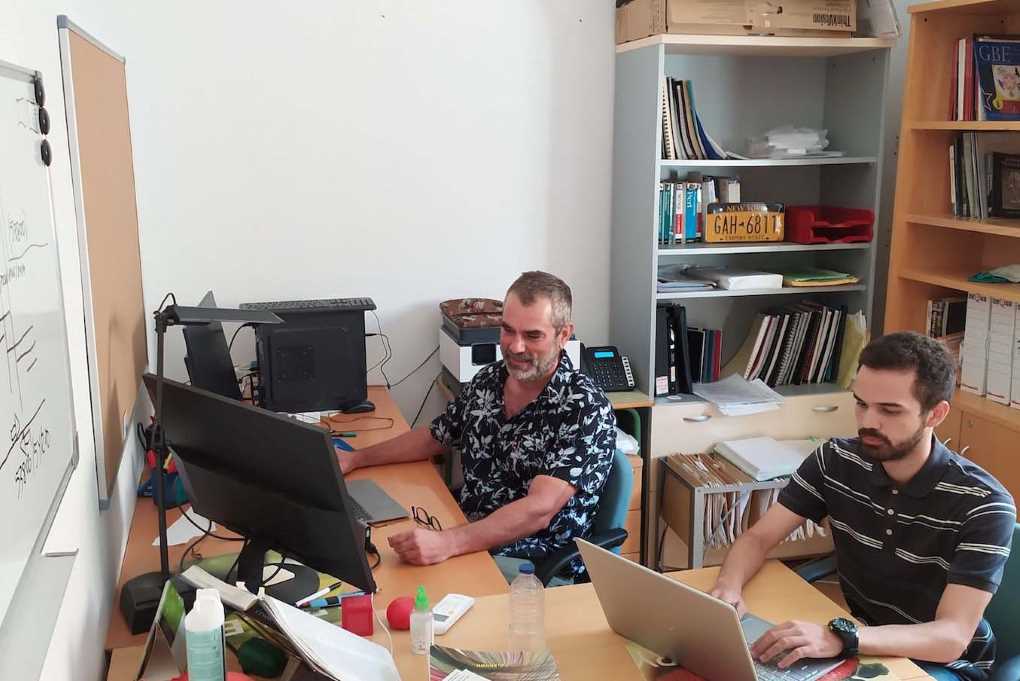 Los investigadores de la UAL autores del estudio de la moringa.