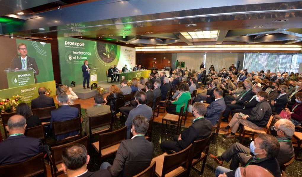 proexport-asamblea