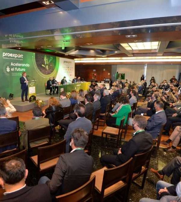 proexport-asamblea