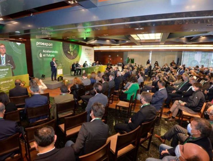proexport-asamblea