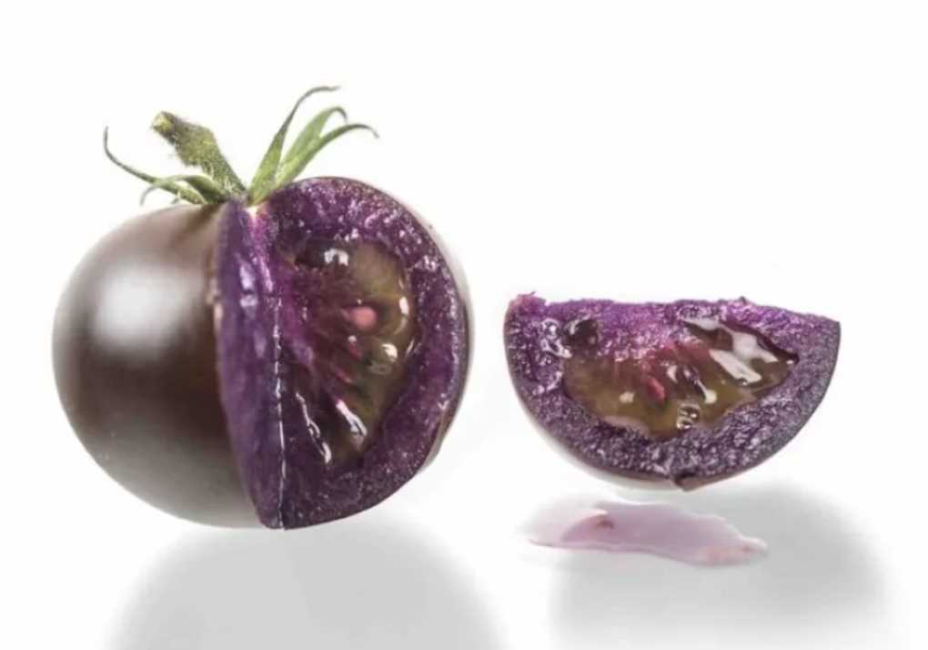 tomate morado