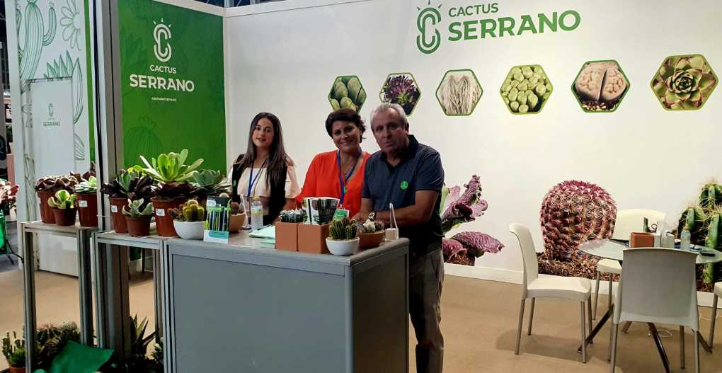 Iberflora Cactus Serrano