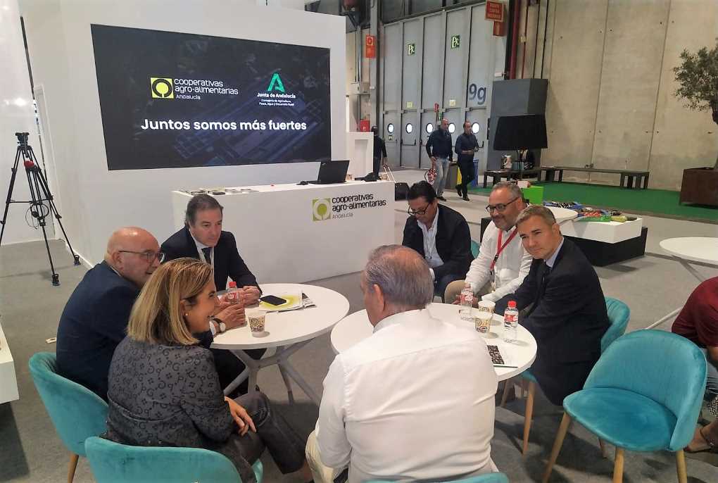 consejera cooperativas