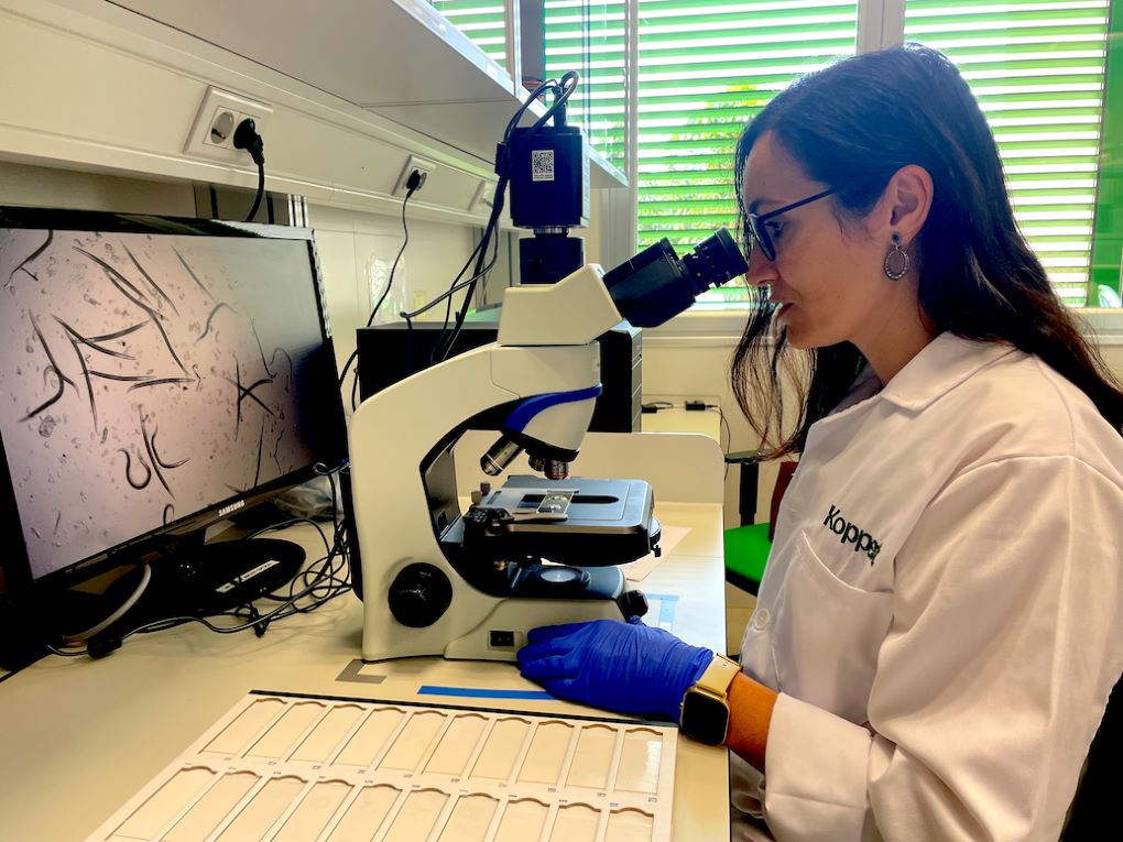 koppert-laboratorio-nematodos