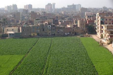Espacio verde urbano
