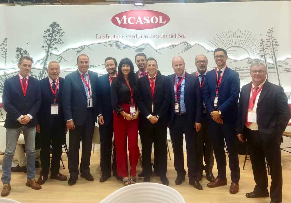 vicasol
