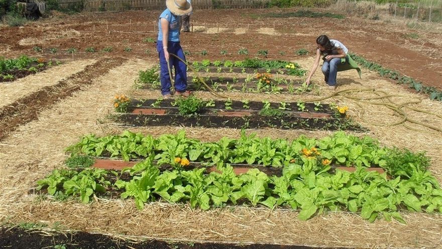 Agro Emprendedores