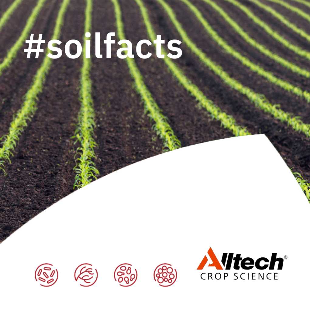 Campaña #SOILFACTS