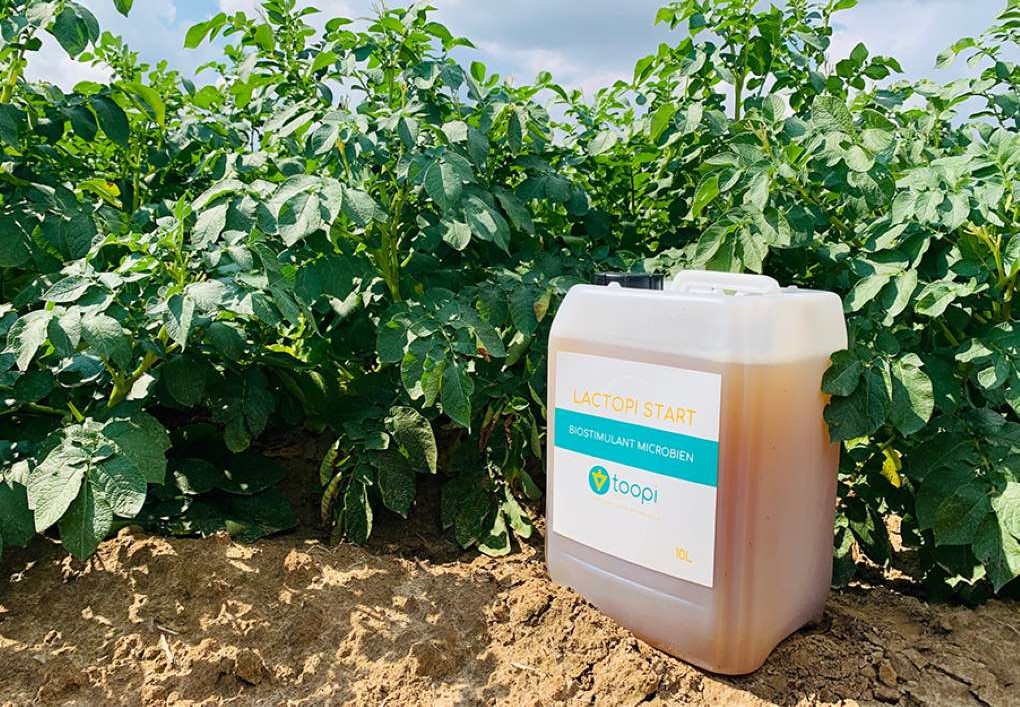 Lactopi-StartTM orina fertilizantes