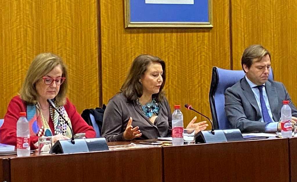 comision parlamento carmen crespo
