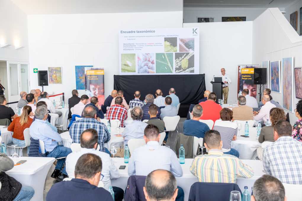 encuentro basf pulgón