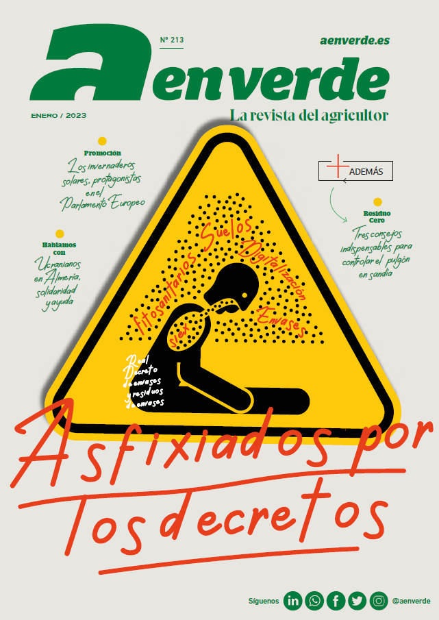aenverde enero 2023