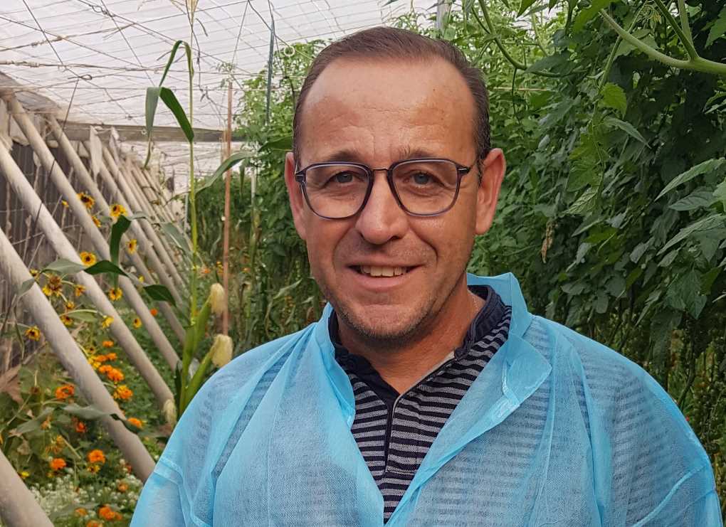 técnico vicasol
