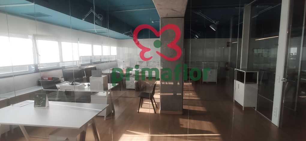 Primaflor_oficina interior Madrid