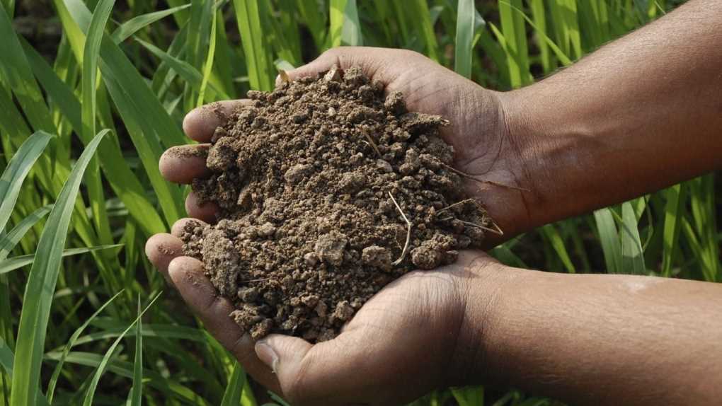 suelo agrario
