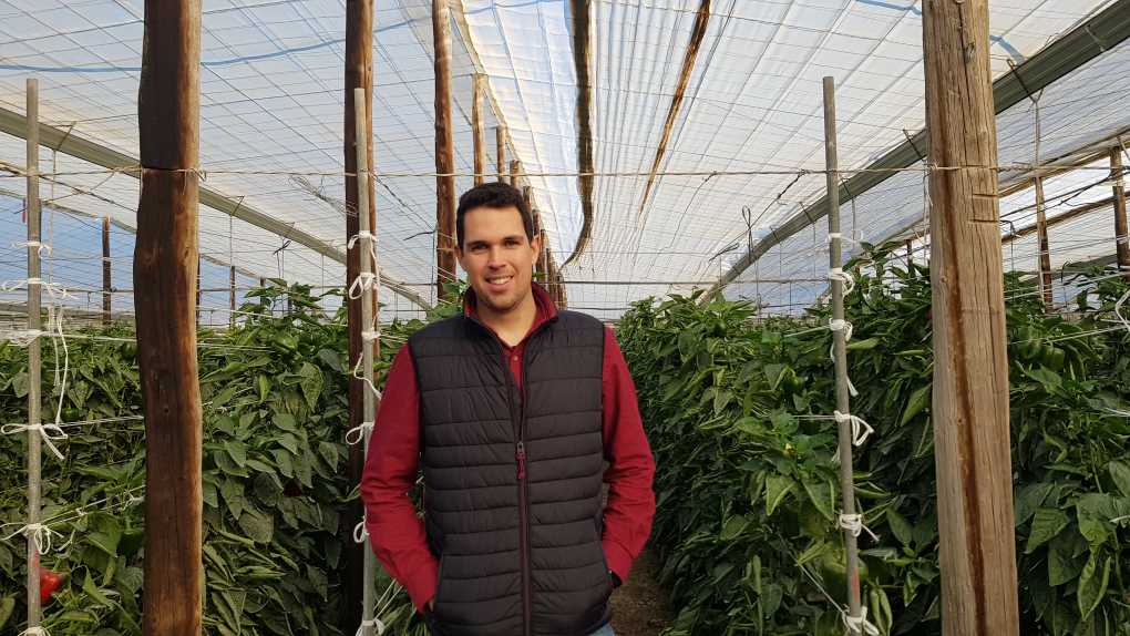 Jose Ojeda