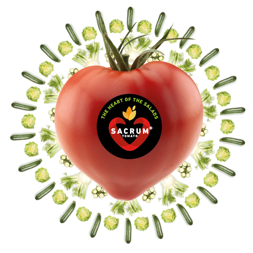 UNICA_TOMATE SACRUM