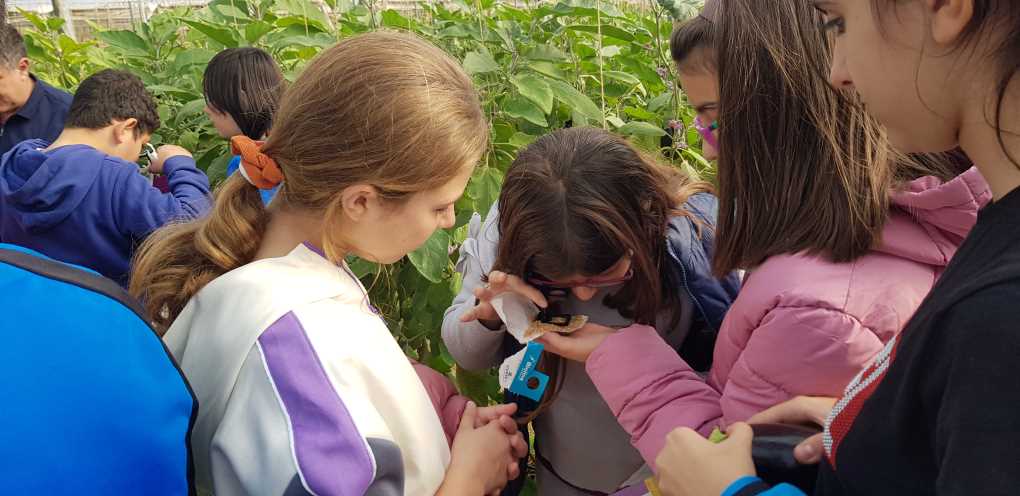 6º Colegio Mar Mediterráneo (3)