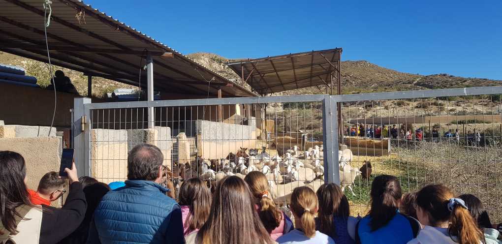 6º Colegio Mar Mediterráneo (6)