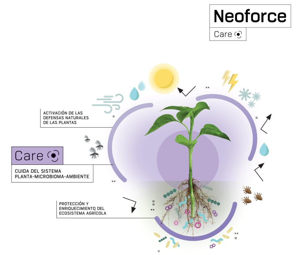 Infografia-Neoforce_ES- con logo