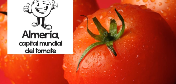 Tomate
